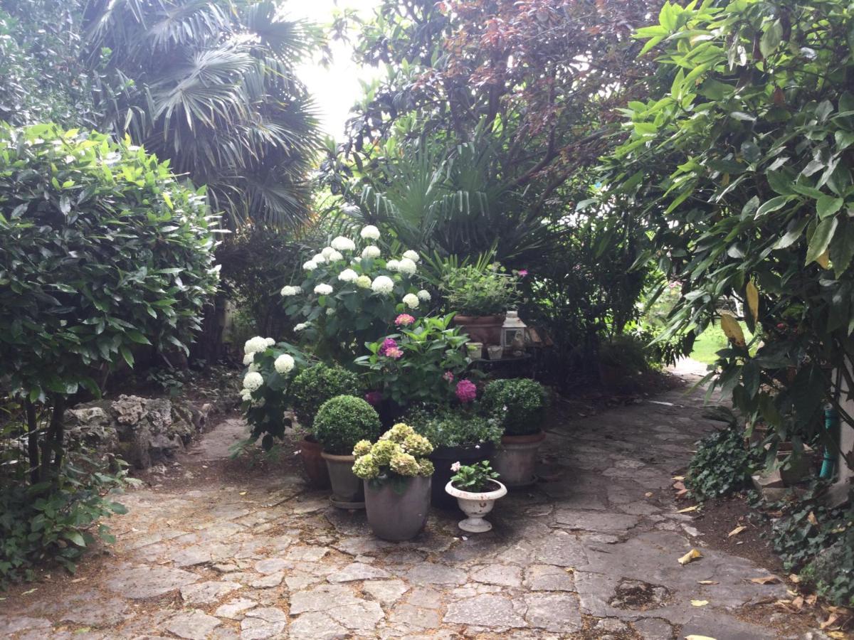 L'Orangerie Du General Bed & Breakfast แซ็ง-ฌ็อง-เด-อ็องเจลี ภายนอก รูปภาพ